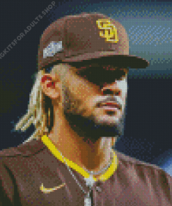 El Nino Fernando Tatis Jr Diamond Painting