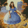 Girl With Pigeon Diamond Painting