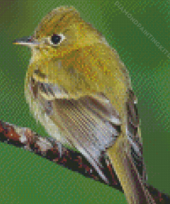 Green Tyrant Flycatchers Diamond Painting