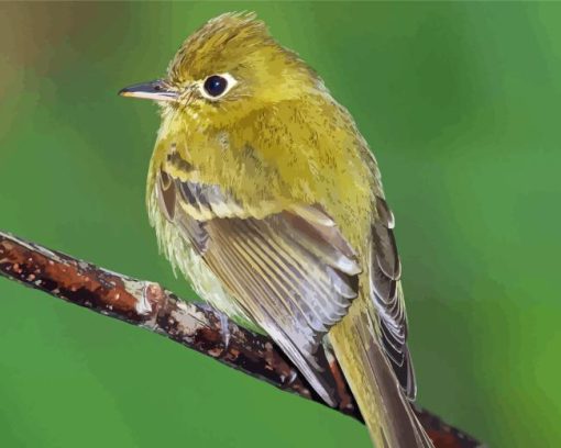 Green Tyrant Flycatchers Diamond Painting