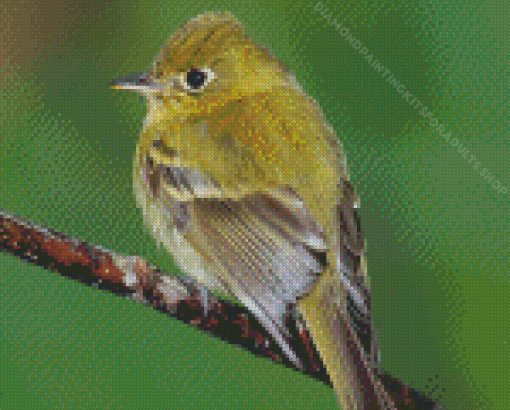 Green Tyrant Flycatchers Diamond Painting