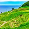 Rice Fields With Seascape Diamond Painting