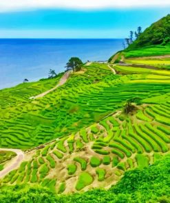 Rice Fields With Seascape Diamond Painting