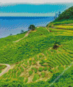 Rice Fields With Seascape Diamond Painting