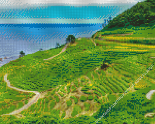 Rice Fields With Seascape Diamond Painting