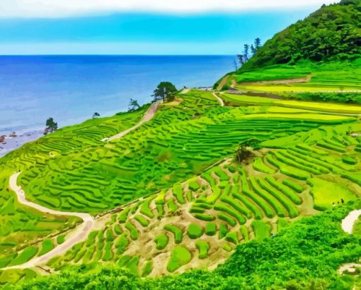 Rice Fields With Seascape Diamond Painting