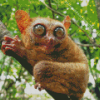 Tarsier On Branch Diamond Painting