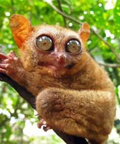 Tarsier On Branch Diamond Painting