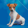 Toy Fox Terrier Puppy Diamond Painting