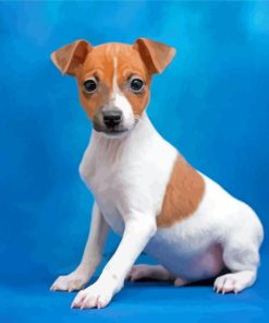 Toy Fox Terrier Puppy Diamond Painting