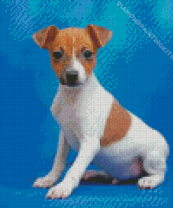 Toy Fox Terrier Puppy Diamond Painting