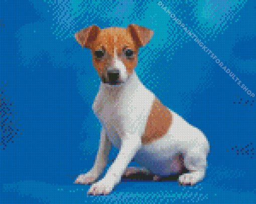 Toy Fox Terrier Puppy Diamond Painting