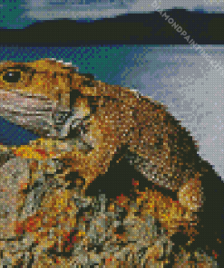 Tuatara Animal Diamond Painting