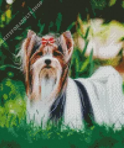 Biewer Terrier Diamond Painting