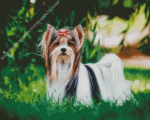 Biewer Terrier Diamond Painting