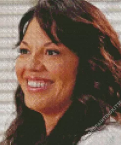 Callie Torres Diamond Painting