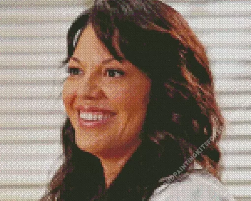 Callie Torres Diamond Painting