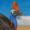 Cassowary Diamond Painting