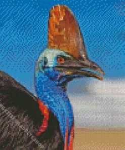 Cassowary Diamond Painting