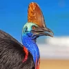 Cassowary Diamond Painting