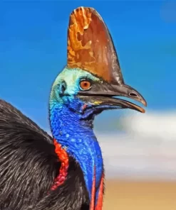 Cassowary Diamond Painting