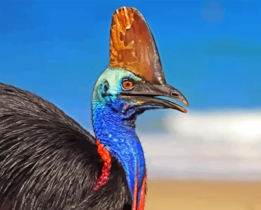 Cassowary Diamond Painting