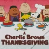 Charlie Brown Thanksgiving Diamond Painting