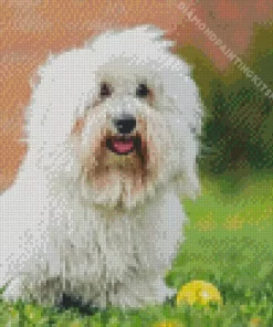 Coton Tulear Diamond Painting