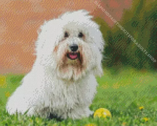 Coton Tulear Diamond Painting