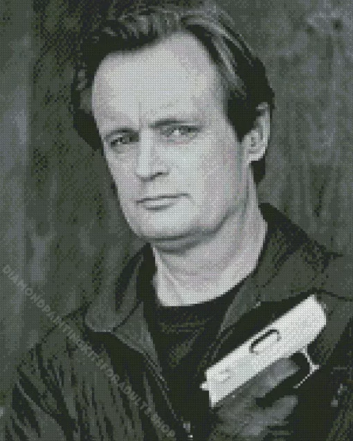 David Mccallum Diamond Painting