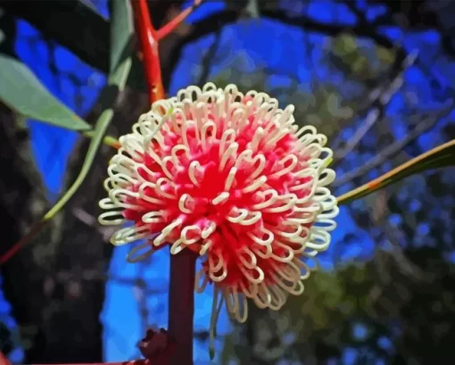 Hakea Plant Diamond Painting