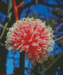 Hakea Plant Diamond Painting