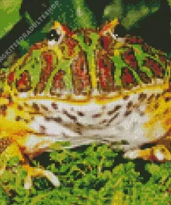 Horned Frog Diamond Painting