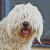 Komondor Diamond Painting