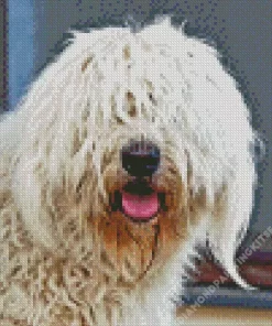 Komondor Diamond Painting