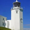 Lizard Lighthouse Diamond Painting