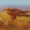 Marsh Harrier Diamond Painting