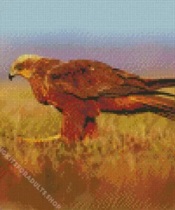 Marsh Harrier Diamond Painting