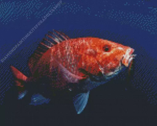 Snapper Fish Diamond Painting