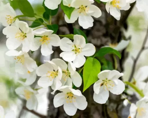 White Crabapple Diamond Painting