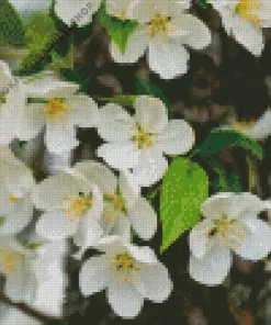 White Crabapple Diamond Painting