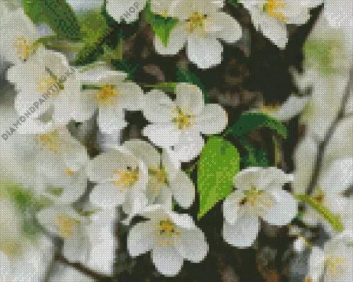 White Crabapple Diamond Painting