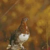 Willow Ptarmigan Diamond Painting