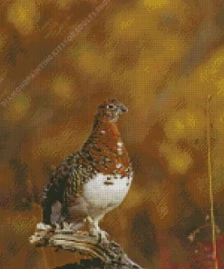 Willow Ptarmigan Diamond Painting