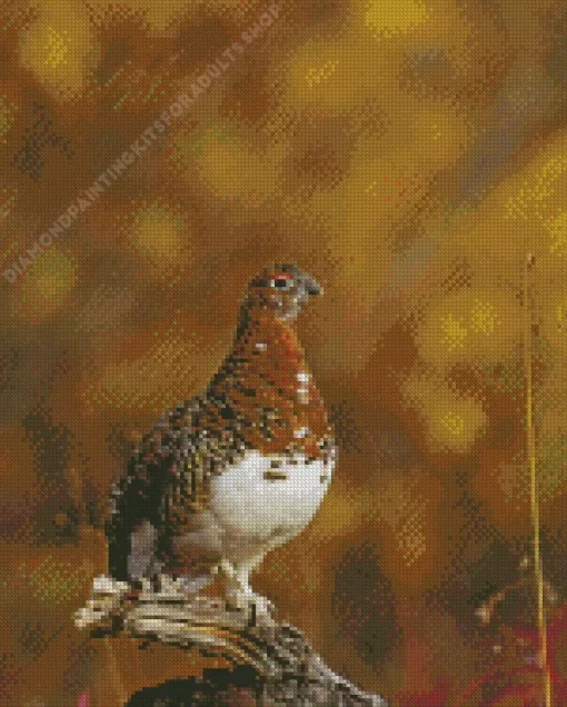 Willow Ptarmigan Diamond Painting