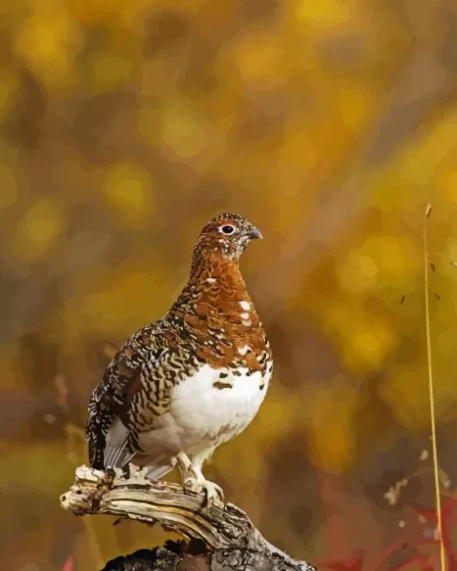 Willow Ptarmigan Diamond Painting