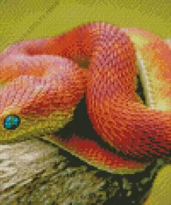 African Bush Viper Diamond Painting