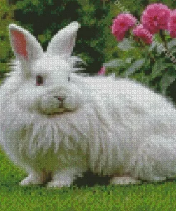 Angora Rabbit Diamond Painting