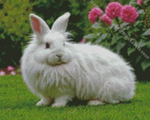 Angora Rabbit Diamond Painting