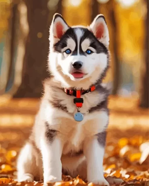 Baby Husky Diamond Painting